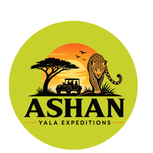 https://ashanyalaexpeditions.com/
